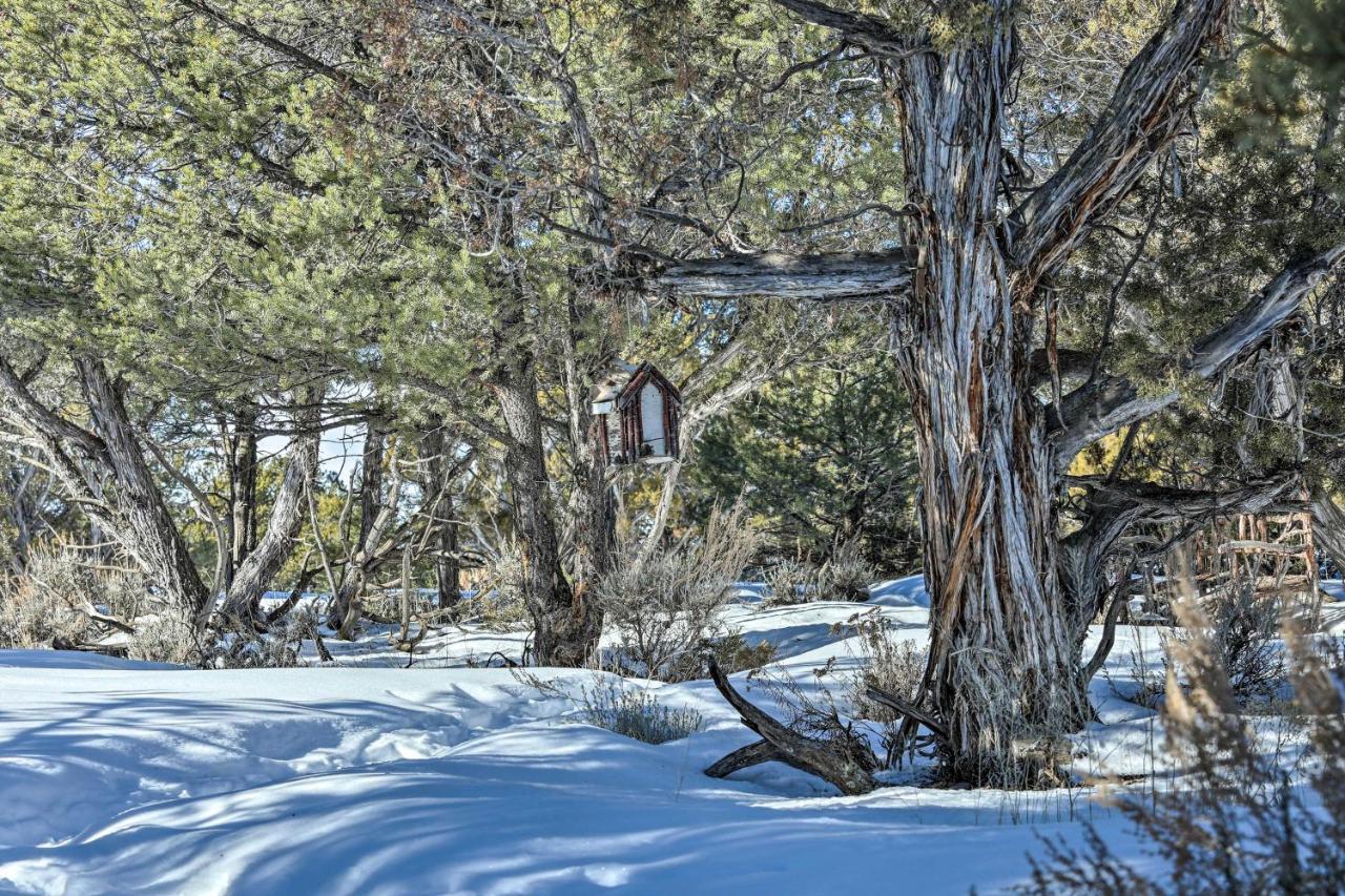 Villa Eagles Landing A Quiet Colorado Mountain Escape Exterior foto